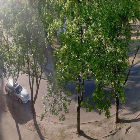 Однокомнатная Квартира На Улице Попудренко كييف المظهر الخارجي الصورة